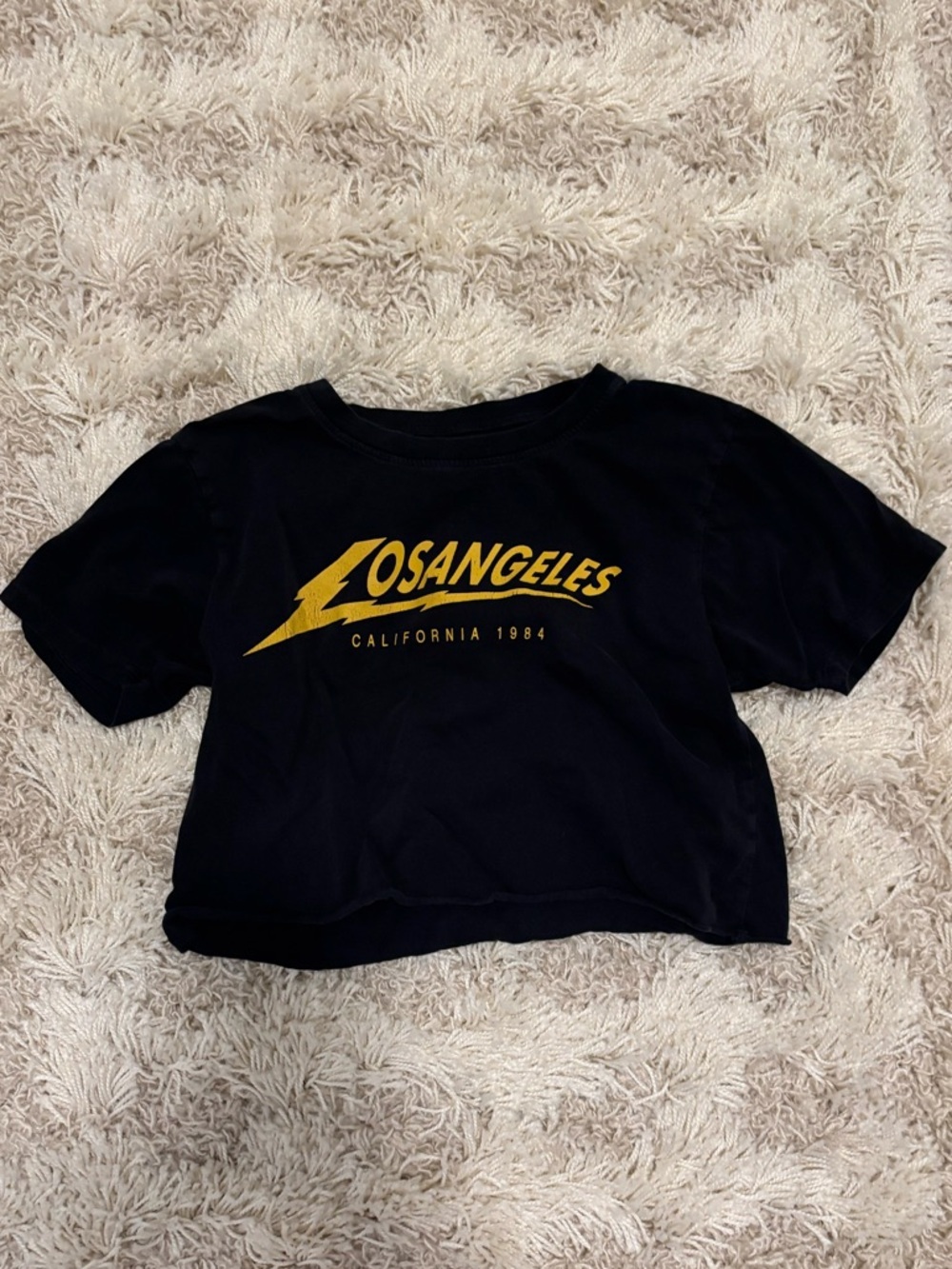 Brandy Melville Los Angeles Crop Top